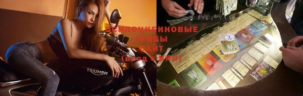 экстази Арсеньев